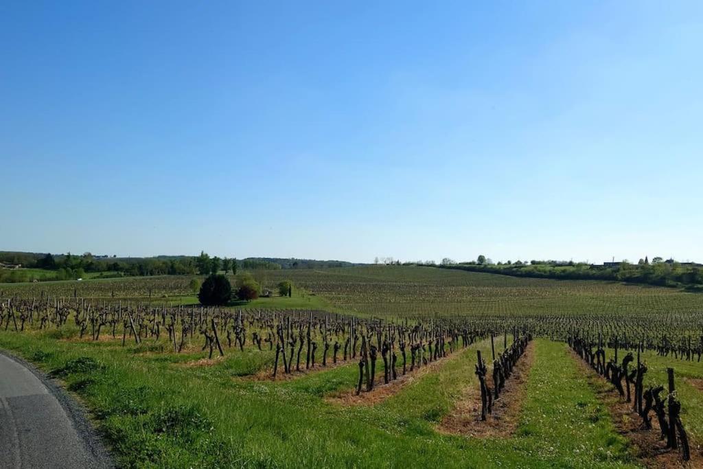Entre Pierre Et Vigne - Charming Former Winery Farmhouse With Hot Tub & Swimming Pool Monestier  المظهر الخارجي الصورة