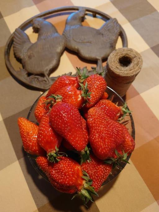 Entre Pierre Et Vigne - Charming Former Winery Farmhouse With Hot Tub & Swimming Pool Monestier  المظهر الخارجي الصورة